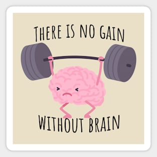 There is no gain without brain Magnet